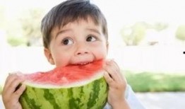 孩子吃茄瓜视频大全集,趣味视频大全集回顾