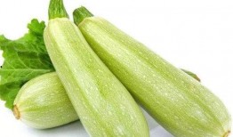 白瓜能配苦瓜吃吗视频,白瓜与苦瓜的搭配食用探讨